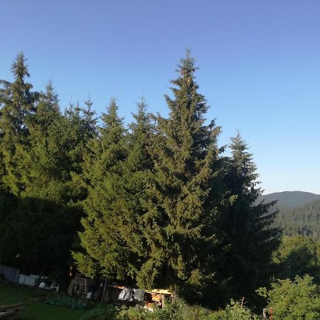Apartamento Kuca Za Odmor "Jasna" Crni Lug Exterior foto