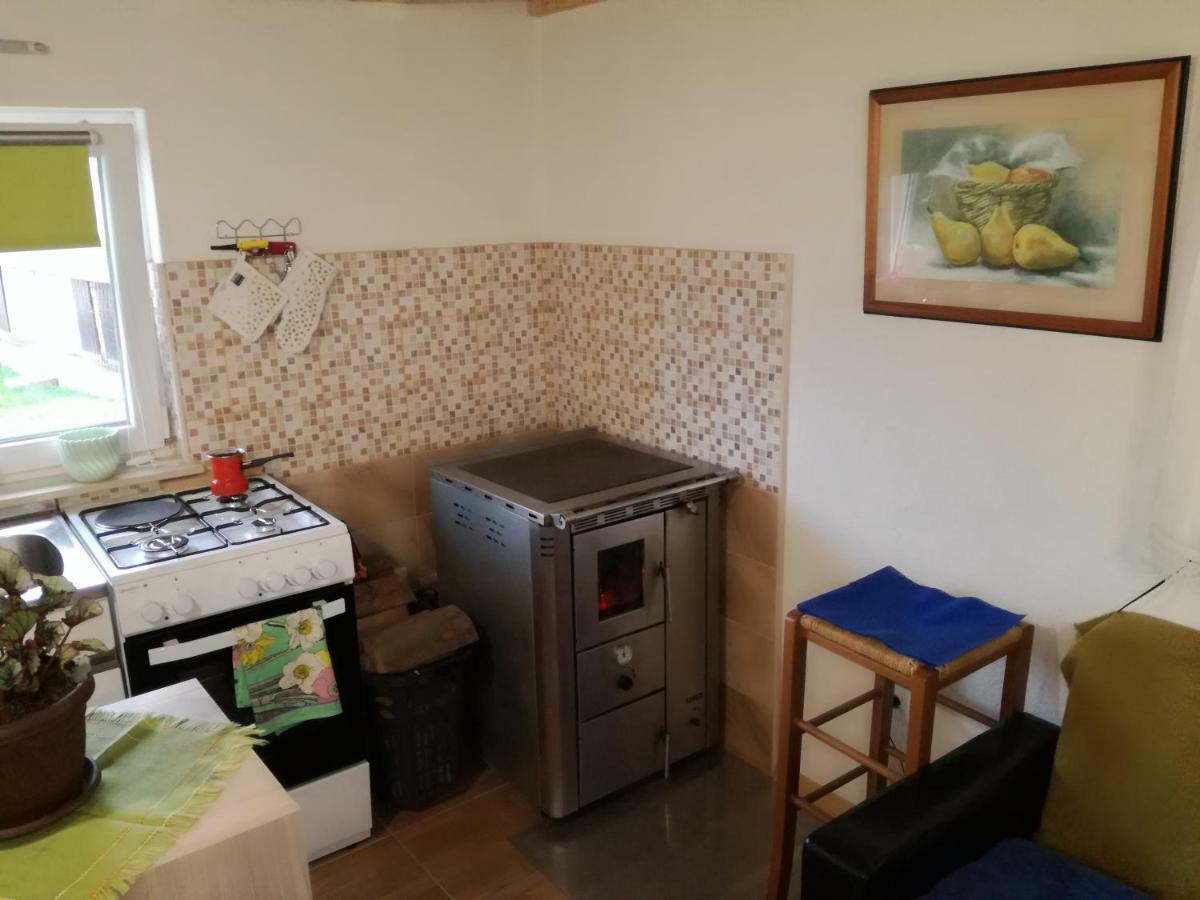 Apartamento Kuca Za Odmor "Jasna" Crni Lug Exterior foto