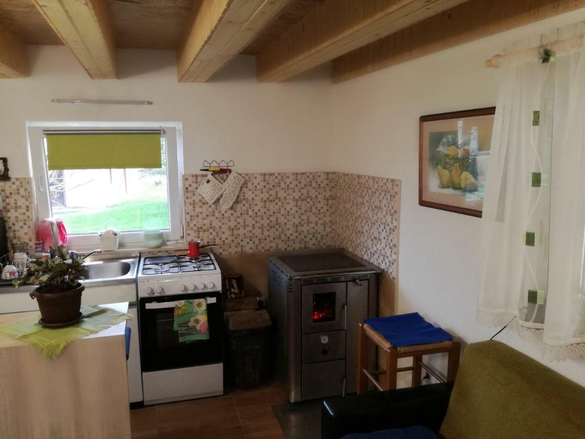 Apartamento Kuca Za Odmor "Jasna" Crni Lug Exterior foto
