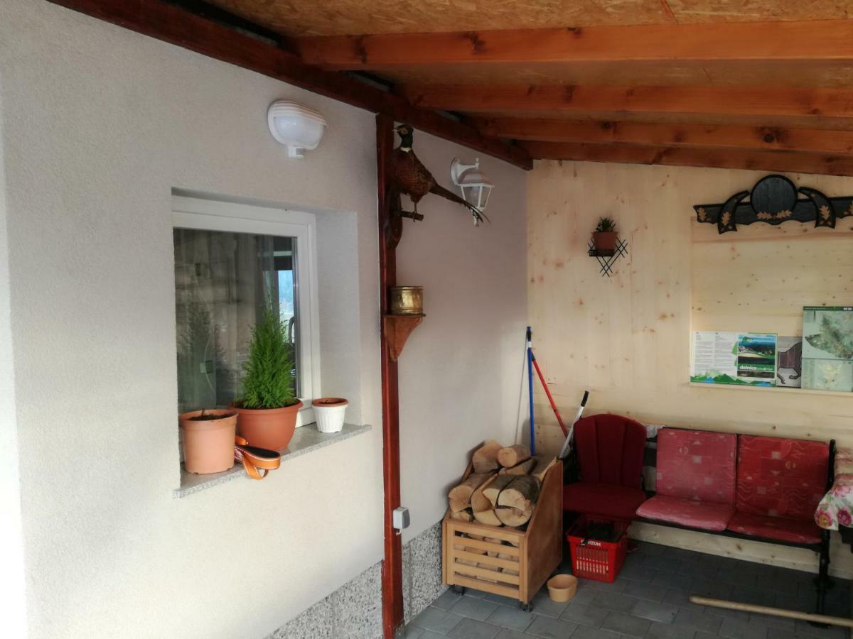 Apartamento Kuca Za Odmor "Jasna" Crni Lug Exterior foto