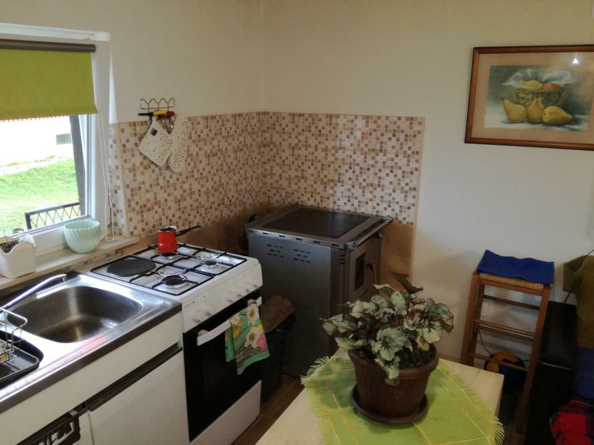 Apartamento Kuca Za Odmor "Jasna" Crni Lug Exterior foto