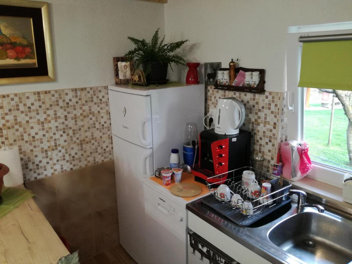 Apartamento Kuca Za Odmor "Jasna" Crni Lug Exterior foto