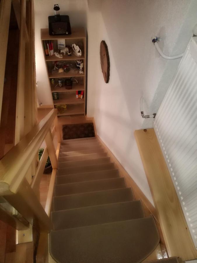 Apartamento Kuca Za Odmor "Jasna" Crni Lug Exterior foto