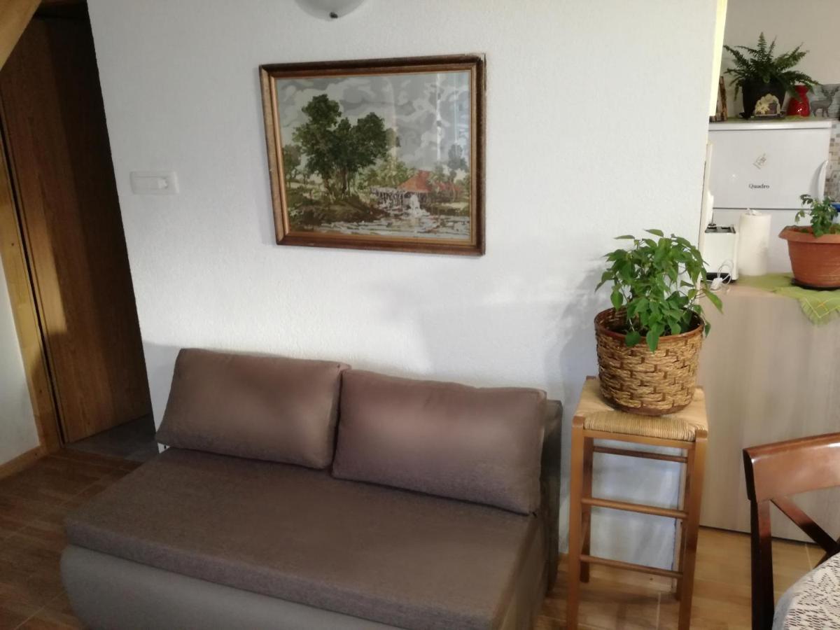 Apartamento Kuca Za Odmor "Jasna" Crni Lug Exterior foto